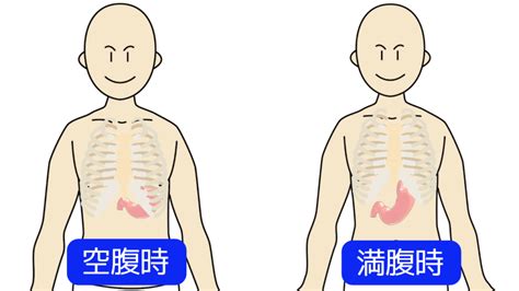 胃 位置|【医師監修】胃の場所って体のどのあたりなの？胃の。